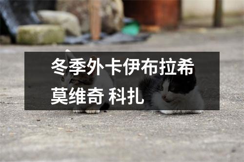 冬季外卡伊布拉希莫维奇 科扎