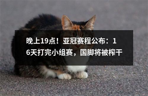 晚上19点！亚冠赛程公布：16天打完小组赛，国脚将被榨干