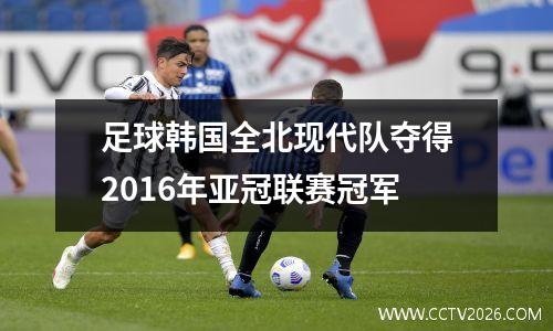 足球韩国全北现代队夺得2016年亚冠联赛冠军