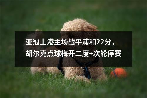 亚冠上港主场战平浦和22分，胡尔克点球梅开二度+次轮停赛