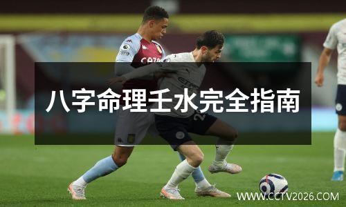 八字命理壬水完全指南