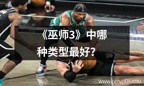 《巫师3》中哪种类型最好？
