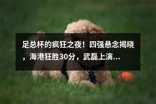足总杯的疯狂之夜！四强悬念揭晓，海港狂胜30分，武磊上演帽子戏法