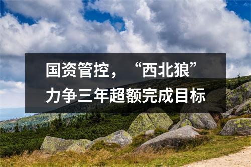 国资管控，“西北狼”力争三年超额完成目标