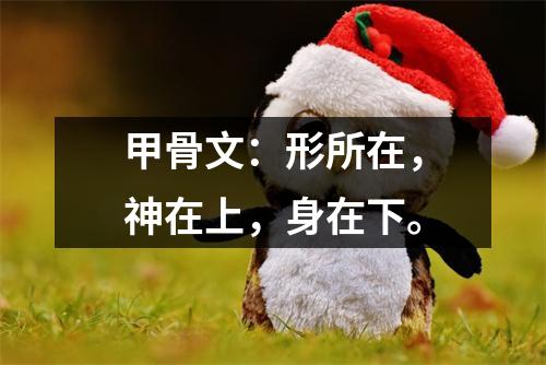 甲骨文：形所在，神在上，身在下。