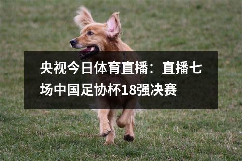 央视今日体育直播：直播七场中国足协杯18强决赛