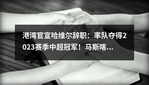 港湾官宣哈维尔辞职：率队夺得2023赛季中超冠军！马斯喀特真的来了