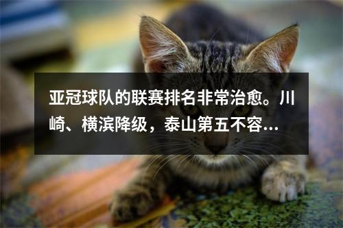 亚冠球队的联赛排名非常治愈。川崎、横滨降级，泰山第五不容易！