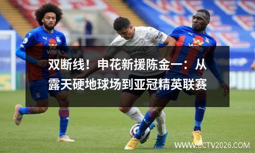 双断线！申花新援陈金一：从露天硬地球场到亚冠精英联赛