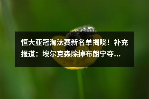 恒大亚冠淘汰赛新名单揭晓！补充报道：埃尔克森除掉布朗宁夺得第三个冠军