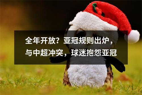 全年开放？亚冠规则出炉，与中超冲突，球迷抱怨亚冠