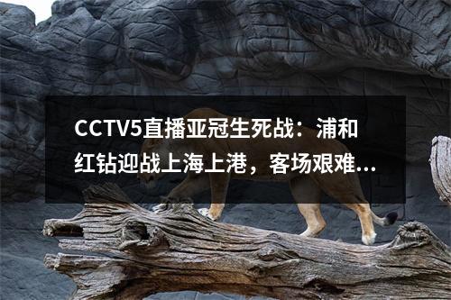 CCTV5直播亚冠生死战：浦和红钻迎战上海上港，客场艰难厄运还得苦战