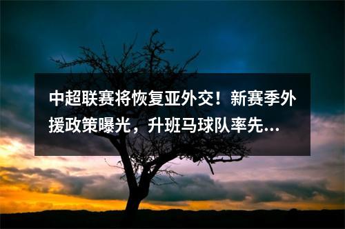 中超联赛将恢复亚外交！新赛季外援政策曝光，升班马球队率先安排4+1报名名额
