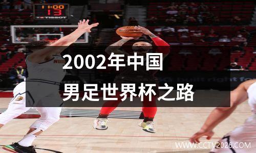 2002年中国男足世界杯之路