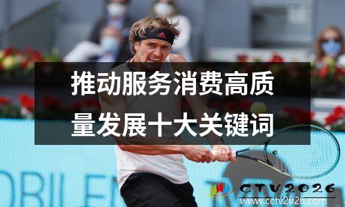 推动服务消费高质量发展十大关键词