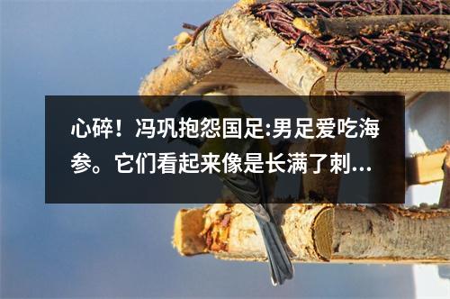 心碎！冯巩抱怨国足:男足爱吃海参。它们看起来像是长满了刺，但实际上却很柔软。