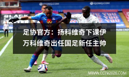 足协官方：扬科维奇下课伊万科维奇出任国足新任主帅