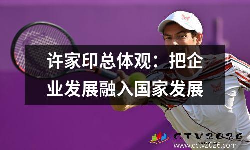 许家印总体观：把企业发展融入国家发展