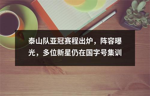 泰山队亚冠赛程出炉，阵容曝光，多位新星仍在国字号集训