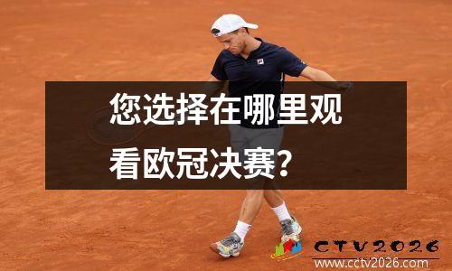 您选择在哪里观看欧冠决赛？