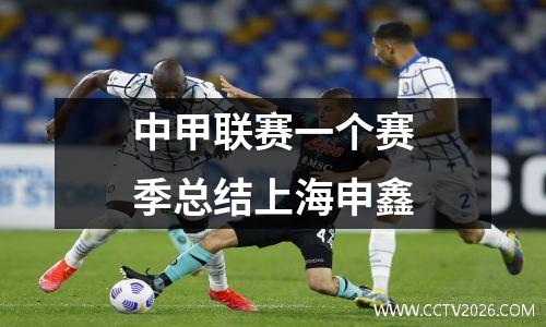 中甲联赛一个赛季总结上海申鑫