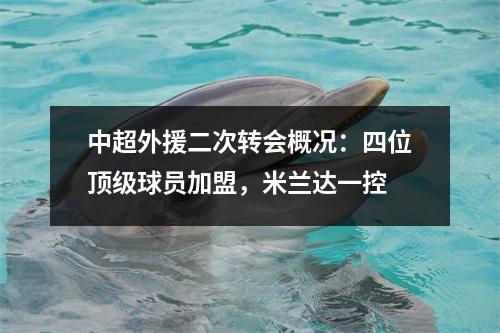 中超外援二次转会概况：四位顶级球员加盟，米兰达一控