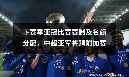 下赛季亚冠比赛赛制及名额分配，中超亚军将踢附加赛
