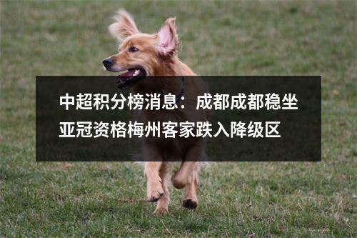 中超积分榜消息：成都成都稳坐亚冠资格梅州客家跌入降级区