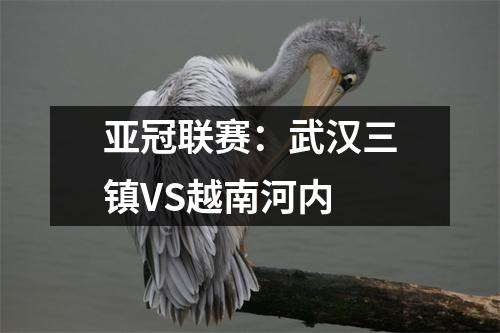 亚冠联赛：武汉三镇VS越南河内