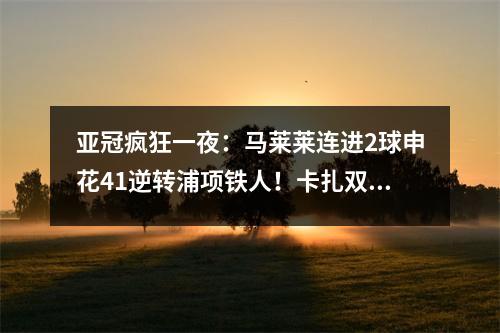亚冠疯狂一夜：马莱莱连进2球申花41逆转浦项铁人！卡扎双环泰山31号