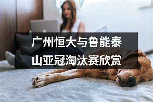广州恒大与鲁能泰山亚冠淘汰赛欣赏