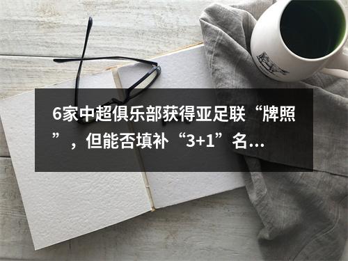 6家中超俱乐部获得亚足联“牌照”，但能否填补“3+1”名额仍存疑问