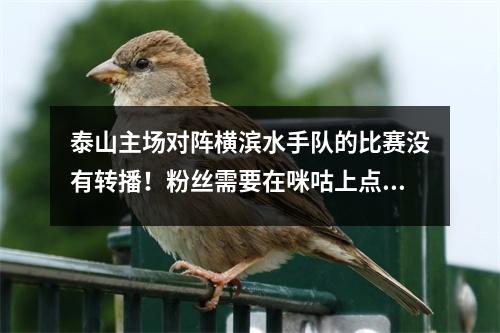 泰山主场对阵横滨水手队的比赛没有转播！粉丝需要在咪咕上点播付费！