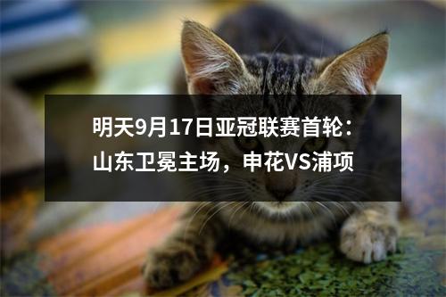 明天9月17日亚冠联赛首轮：山东卫冕主场，申花VS浦项
