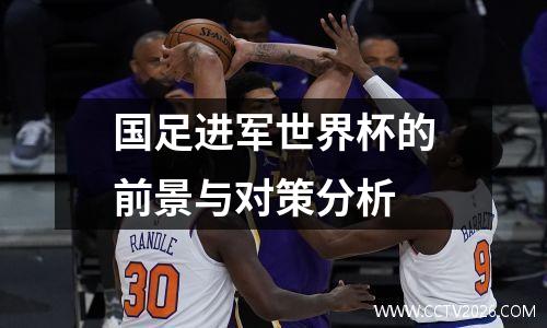 国足进军世界杯的前景与对策分析