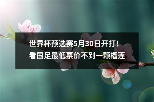 世界杯预选赛5月30日开打！看国足最低票价不到一颗榴莲