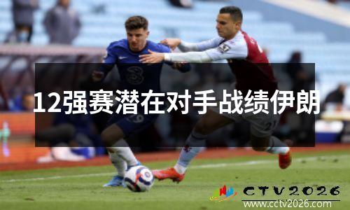12强赛潜在对手战绩伊朗