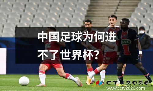 中国足球为何进不了世界杯？