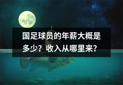 国足球员的年薪大概是多少？收入从哪里来？
