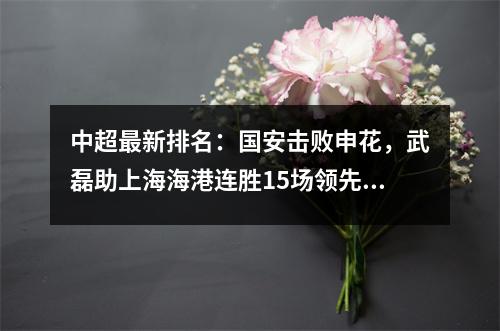 中超最新排名：国安击败申花，武磊助上海海港连胜15场领先5分