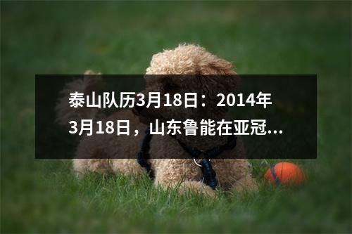 泰山队历3月18日：2014年3月18日，山东鲁能在亚冠联赛中战平浦项制铁。