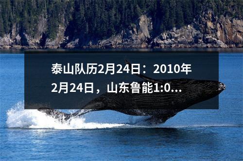 泰山队历2月24日：2010年2月24日，山东鲁能1:0击败广岛三箭