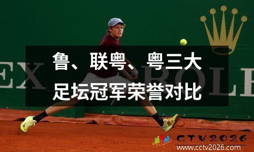 鲁、联粤、粤三大足坛冠军荣誉对比