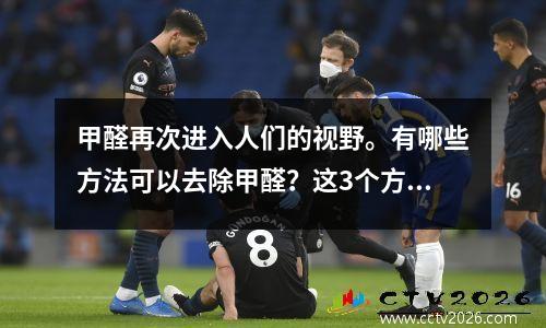 甲醛再次进入人们的视野。有哪些方法可以去除甲醛？这3个方法有效！