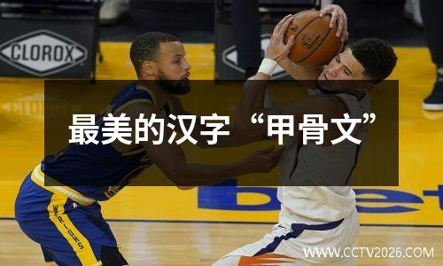 最美的汉字“甲骨文”
