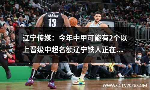 辽宁传媒：今年中甲可能有2个以上晋级中超名额辽宁铁人正在努力晋级中超。