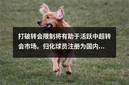 打破转会限制将有助于活跃中超转会市场。归化球员注册为国内球员。