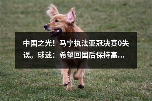 中国之光！马宁执法亚冠决赛0失误。球迷：希望回国后保持高水准