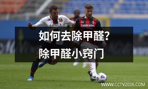 如何去除甲醛？除甲醛小窍门
