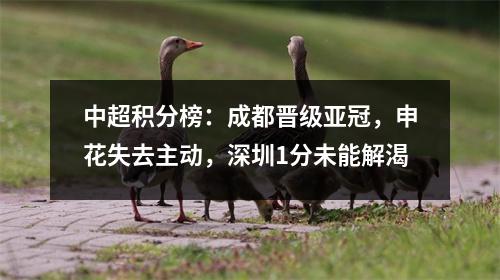 中超积分榜：成都晋级亚冠，申花失去主动，深圳1分未能解渴